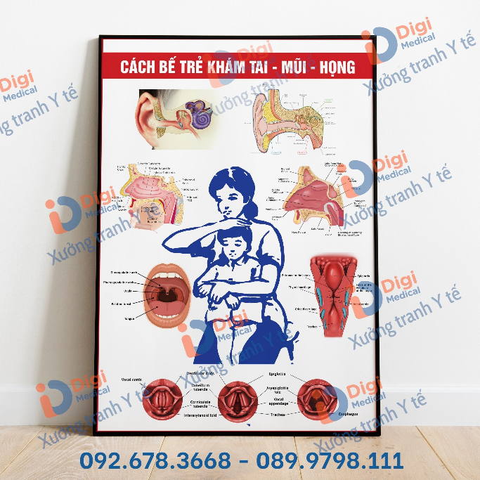(Tranh Decal Dán) Tranh Bế Bé Nội Soi Tai Mũi Họng - Giải Phẫu Tai Mũi Họng