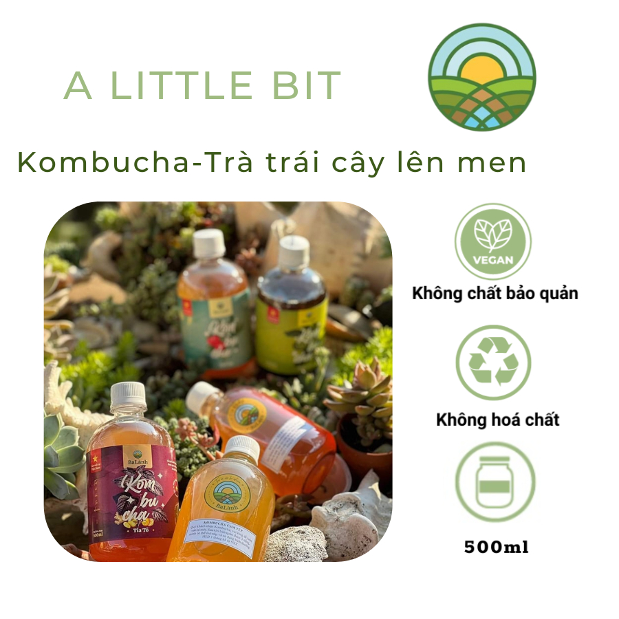 KOMBUCHA - trà trái cây lên men, thức uống từ đường hữu cơ thơm ngon, hỗ trợ tiêu hóa, tăng cường sức đề kháng - ALB
