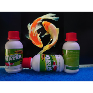 Super White Water -Thuốc điều trị kí sinh trùng cho cá cảnh như: trị rận nước, trùng mỏ neo, nấm râu, sán mang.