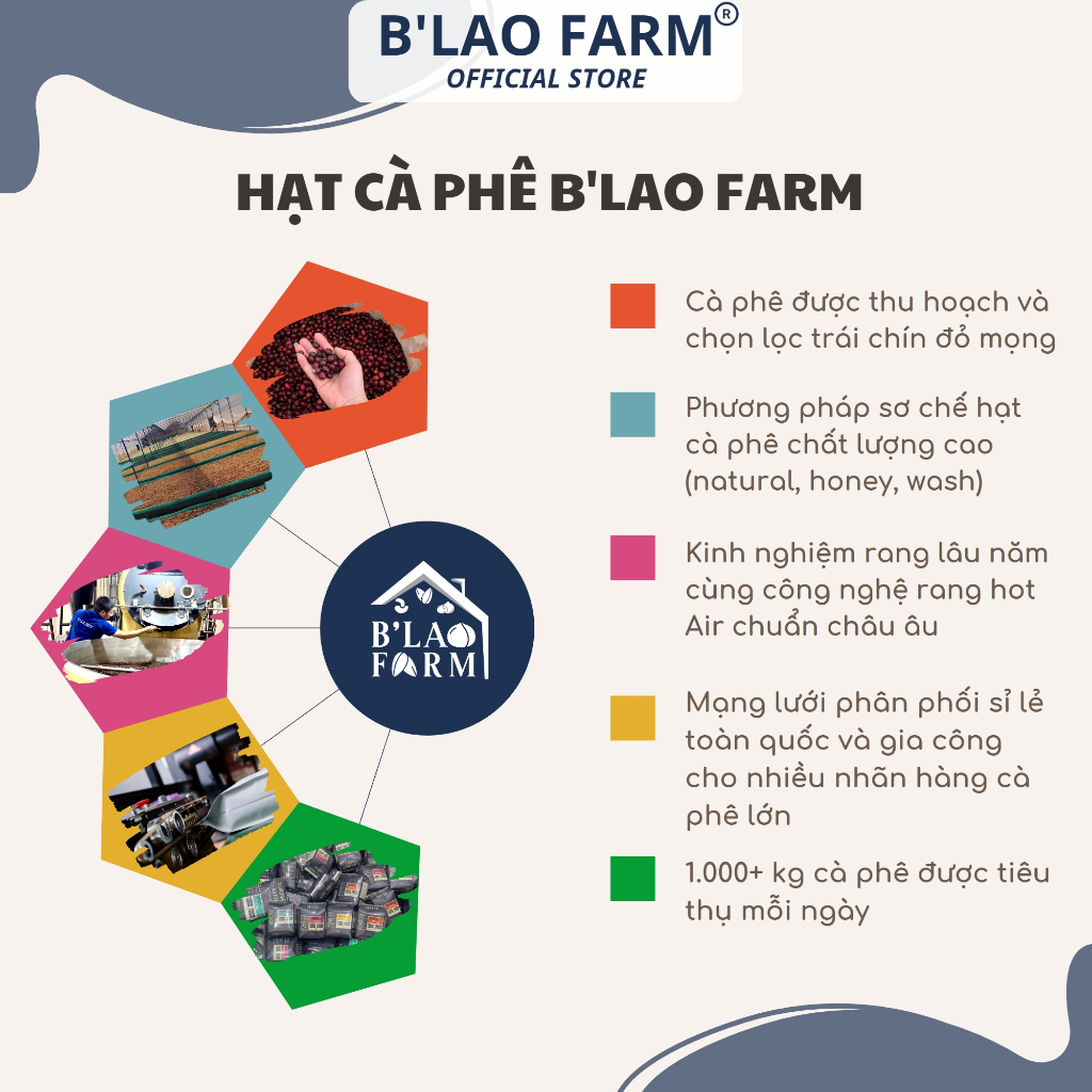 Cà phê ROBUSTA NATURAL rang mộc nguyên chất B'Lao Farm cafe đặc sản vị đắng đầm thơm trái cây chín hậu ngọt túi giấy.