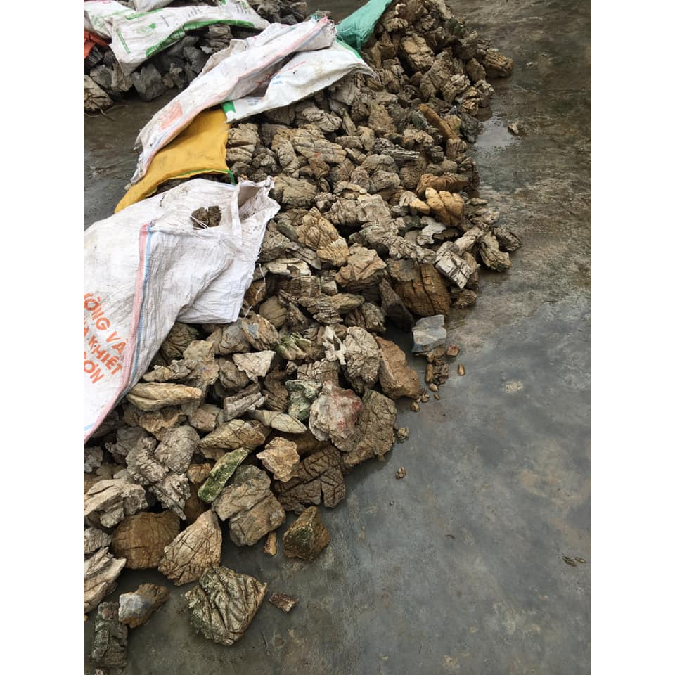 Đá da voi/ Đá thủy sinh / Đá trang trí