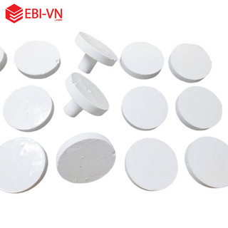 Gía thể san hô Suối Nhỏ-có khả năng giữ nước và chứa lượng chất dinh dưỡng dồi dào giúp san hô phát triển
