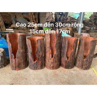 Chậu gỗ lũa tròn sẽ cao