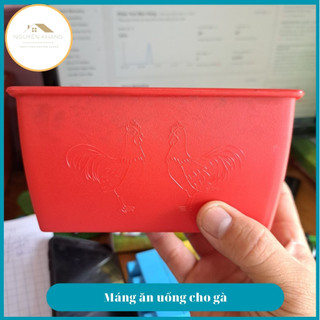 Máng ăn uống cho gà đá gà nòi gà che, chim, cút, bồ câu gồm size nhỏ trung và đại