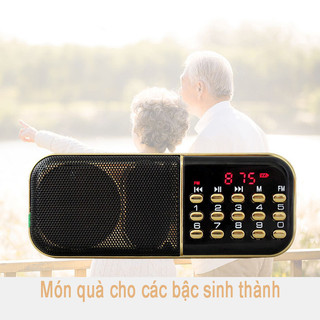 Loa usb, thẻ nhớ nghe pháp, FM Craven CR-25, CR-25A