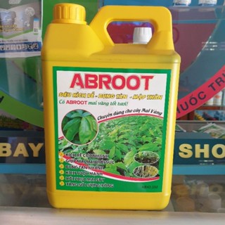 Abroot Bung Tàn Mập Thân 5lit