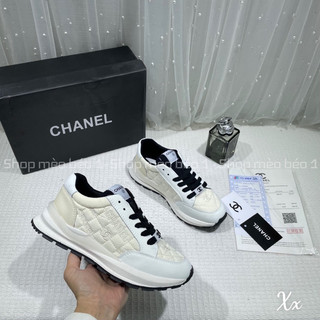 Giày thể thao sneaker cn thêu basic fullbox