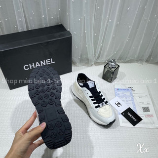 Giày thể thao sneaker cn thêu basic fullbox