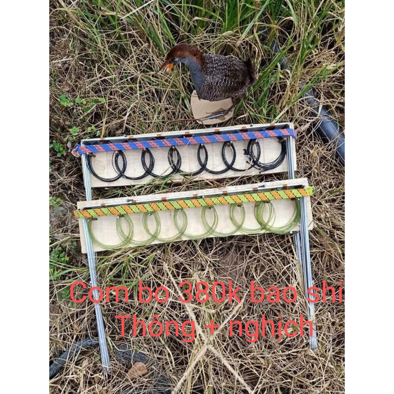 thòng chằng nghịch bộ 7khung 7 vòng 6cm