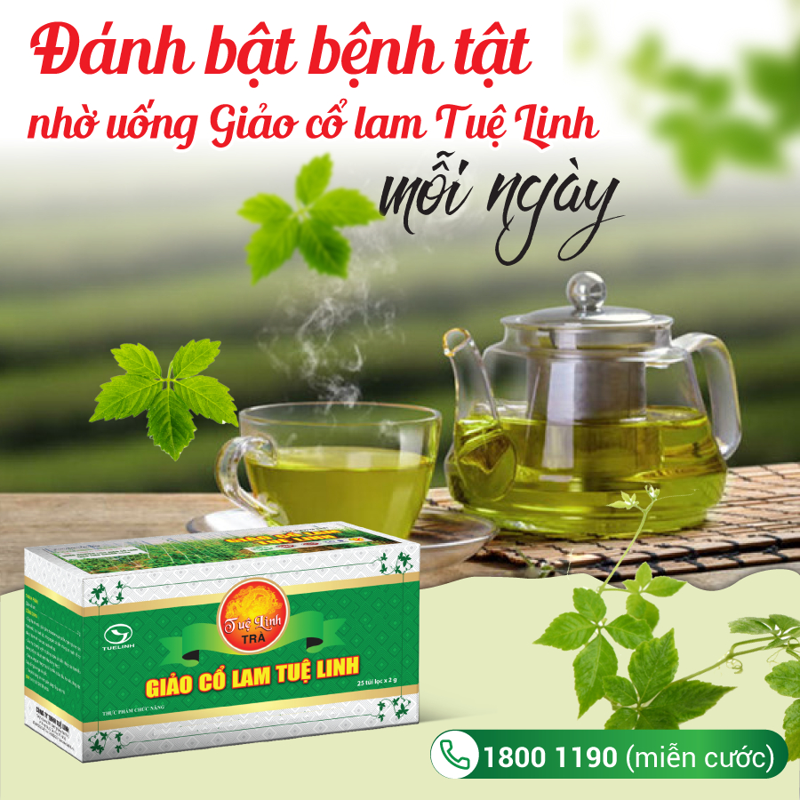 ✅Trà Giảo Cổ Lam Tuệ Linh  - Hỗ trợ Phòng ngừa Bệnh Tim Mạch, Tiểu Đường, Mỡ Máu - Hộp 25 túi lọc
