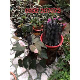 Combo 10 trụ nhựa trồng cây dài 29cm, có khớp nối