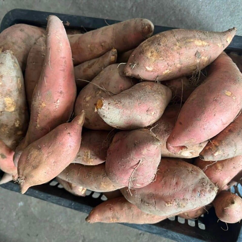 Khoai lang mật 1kg - Ship hoả tốc Hà Nội