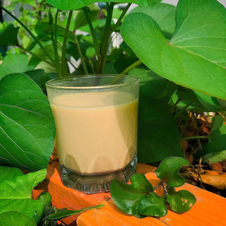 Bột Protein Thực Vật Hũ 420g