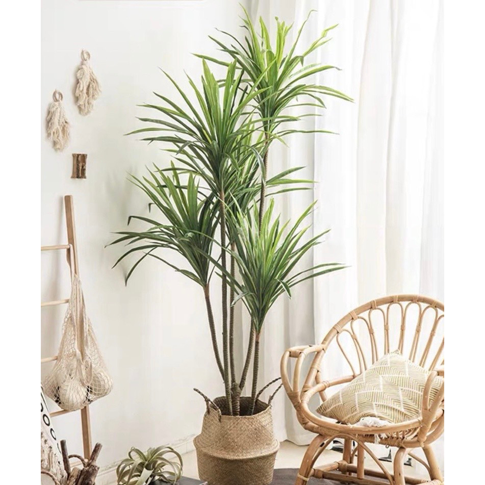 Cây giả decor cây thiết mộc lan giả 5 thân cao 1m6 trang trí decor nhà cửa sân vườn bền đẹp