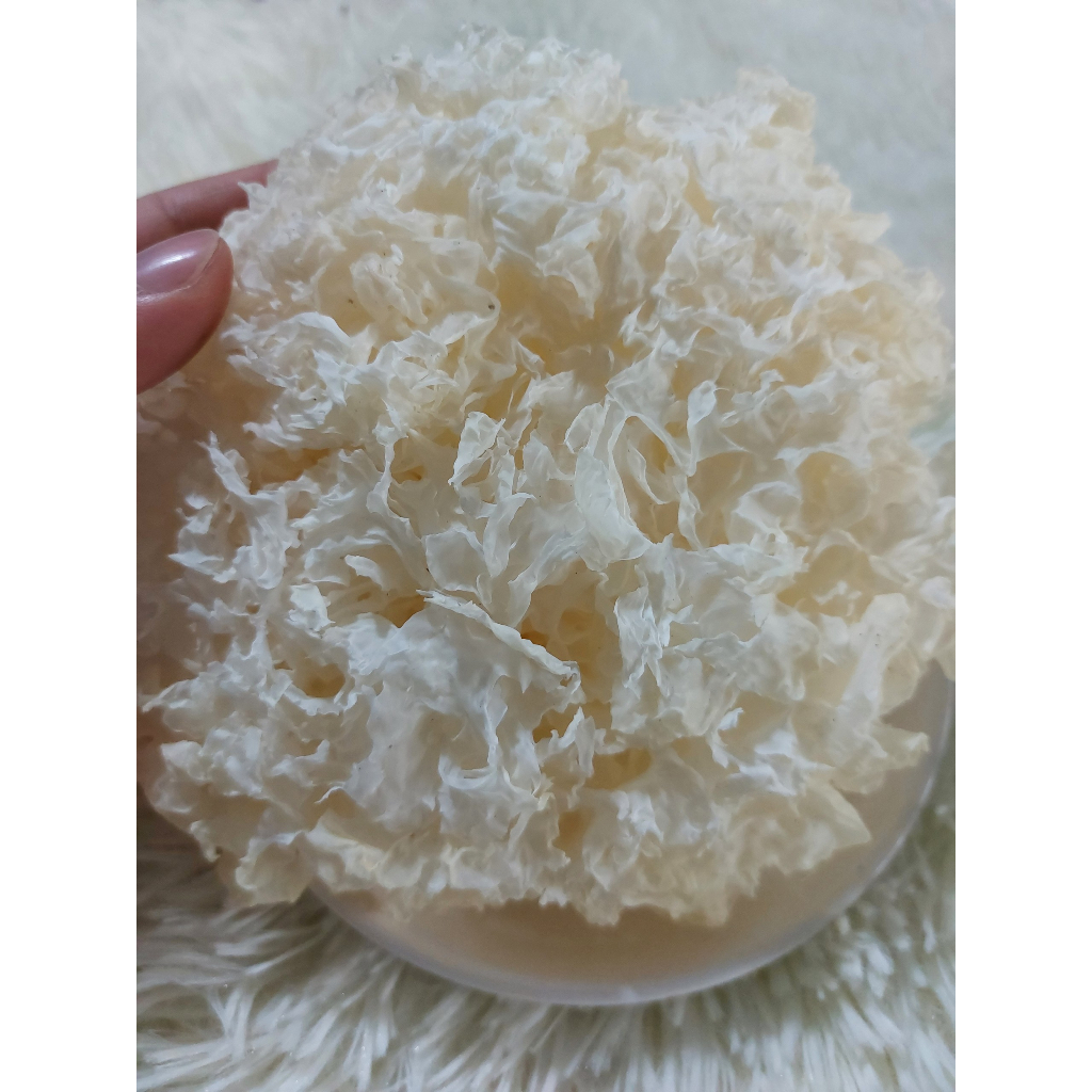 Nấm Tuyết Nguyên Bông Thượng Hạng