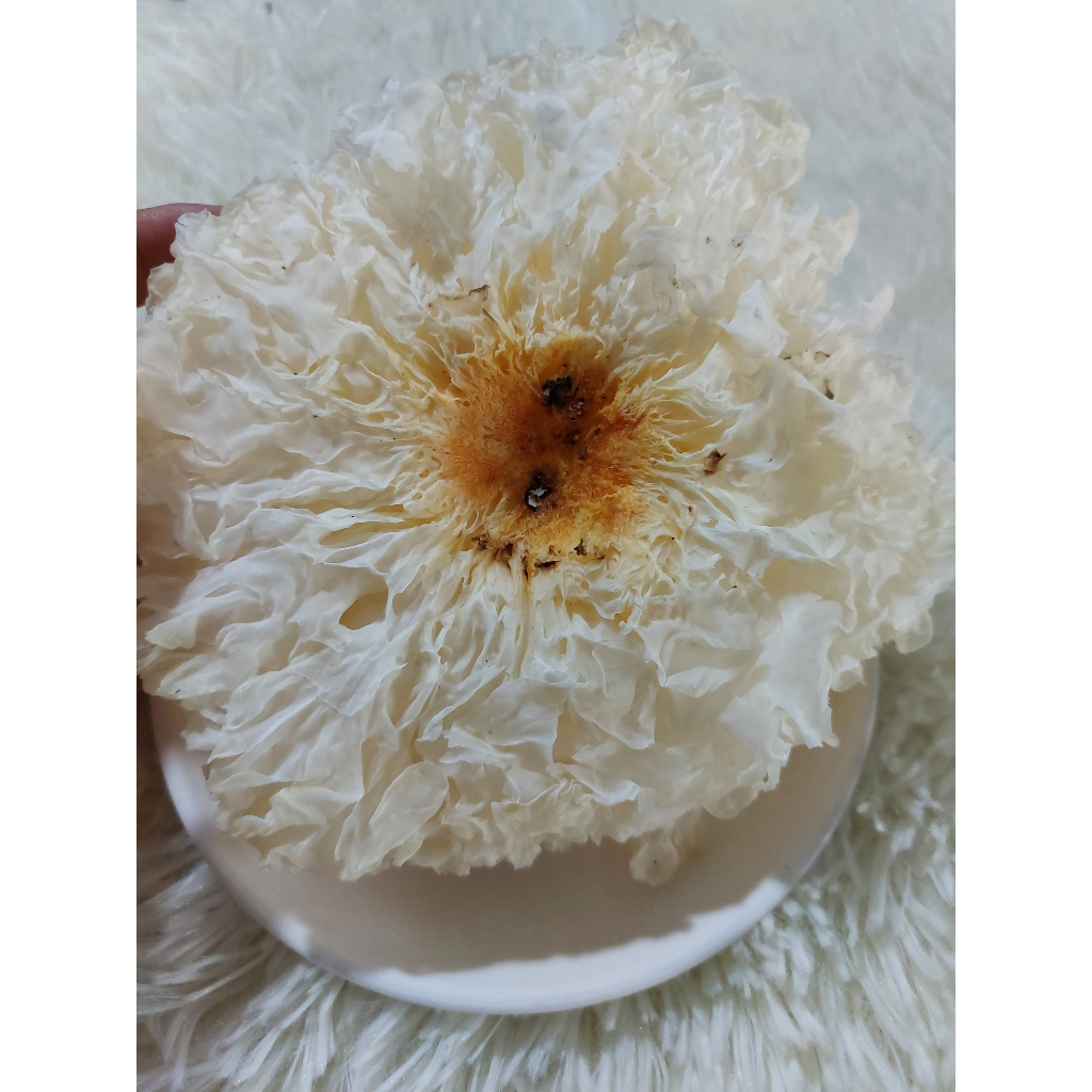 Nấm Tuyết Nguyên Bông Thượng Hạng