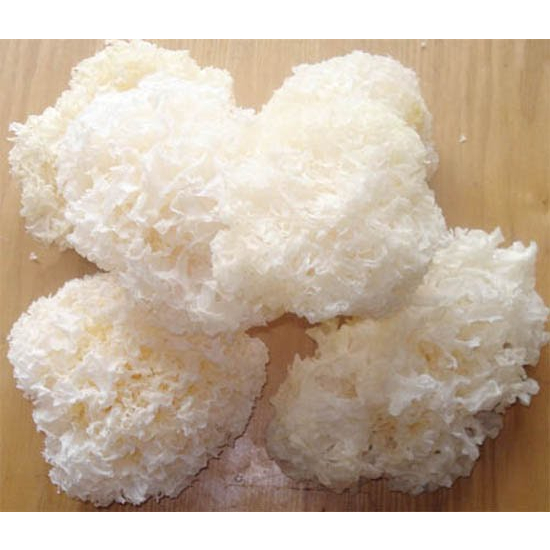 Nấm Tuyết Tự Nhiên Cao Cấp Nấu Chè - Hầm Canh