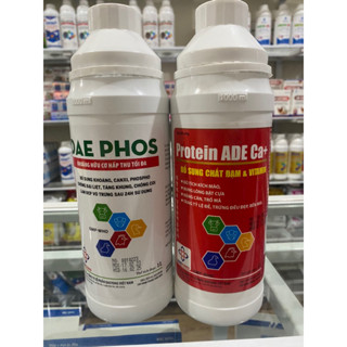 Bộ 2 chai vỗ béo gà, Tăng khung, Tăng đề kháng( 1 chai Ade protenin và 1 chai canxi hữu cơ)