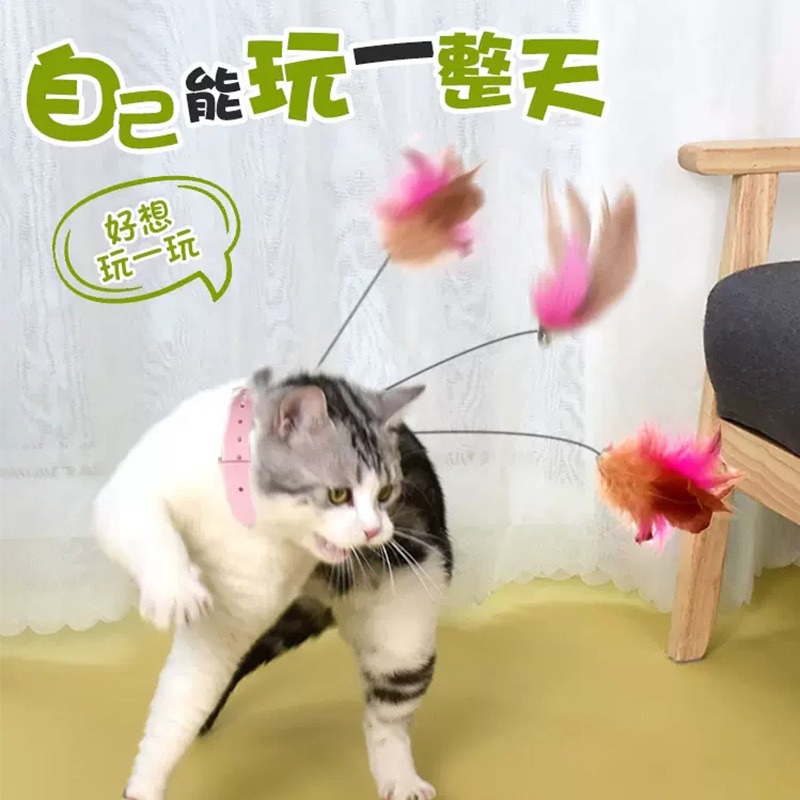 Đồ chơi cho Mèo và Cún