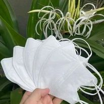 Combo 100 cái  KHẨU TRANG 5d Khẩu trang 5D Mask (túi 10 cái )