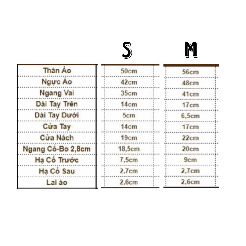 Logo thêu basic 100% COTTON