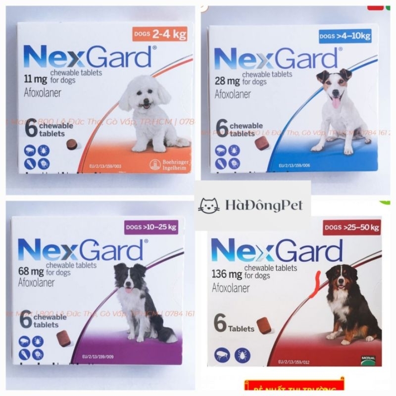 NEXGARD - DIỆT VE RẬN, BỌ CHÉT, GHẺ DEMODEX TRÊN CHÓ MÈO