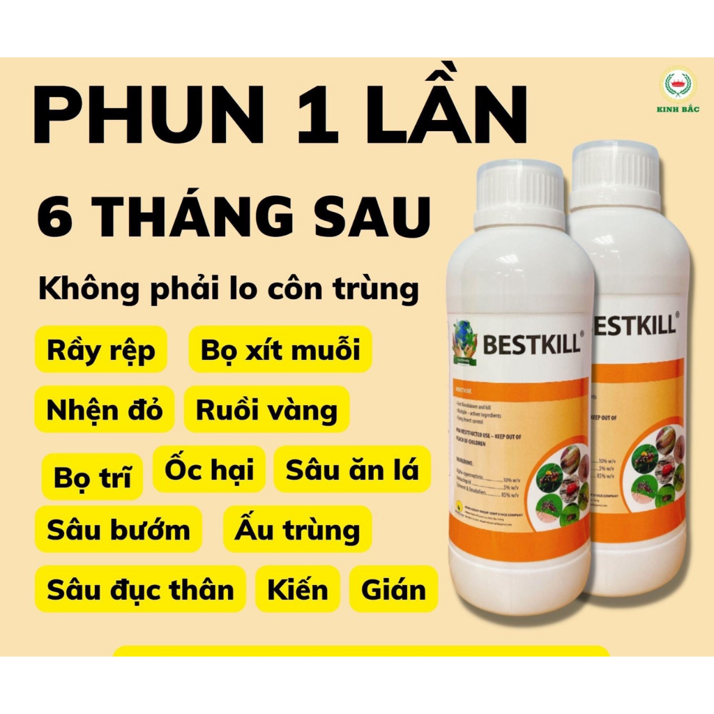 CHế phẩm BestKill Kinh Bắc lọ 1 lít