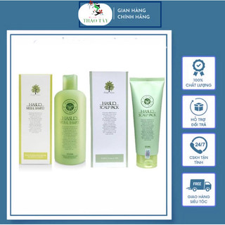 Bộ Dầu gội xả ngăn rụng và kích thích mọc tóc Hasuo 300ml/230ml