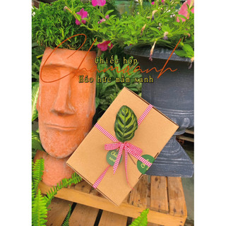 Bộ trồng cây - hộp trồng cây “giấc mơ xanh “