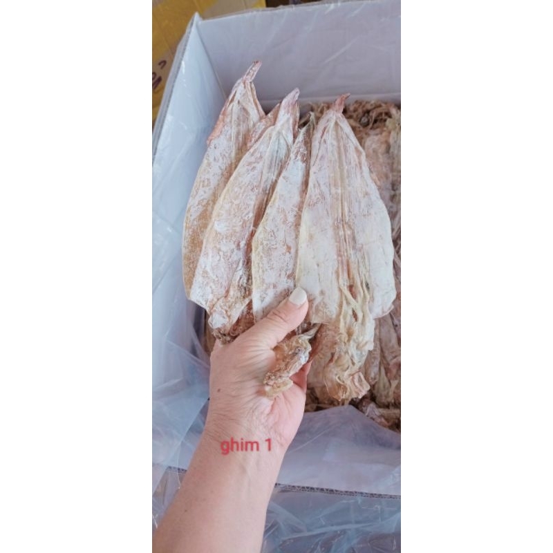 MỰC Y hình 10con bằng bàn tay