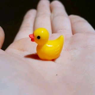 🏝🐣VỊT VÀNG NHỎ XINH🐥🏖🐤
