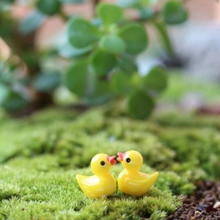 🏝🐣vịt vàng nhỏ xinh🐥🏖🐤
