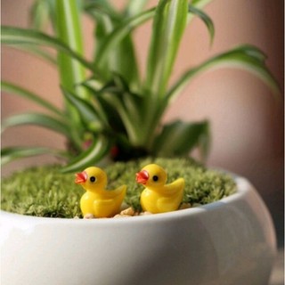 🏝🐣VỊT VÀNG NHỎ XINH🐥🏖🐤