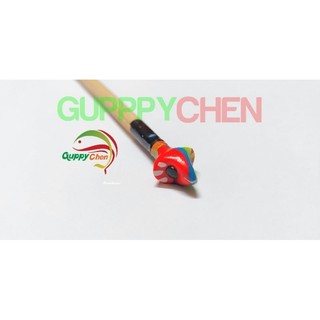 Cây Kè Cá Betta (Giao màu ngẫu nhiên)