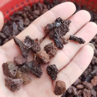 Đá núi lửa - Nham thạch nhỏ trải nền thuỷ sinh