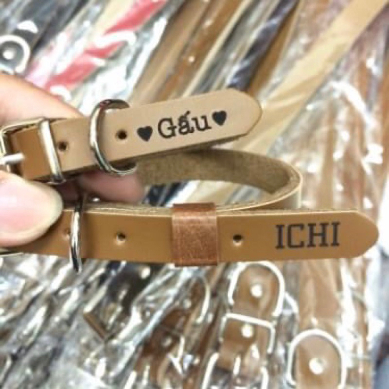 Dây da đeo cổ khắc tên lên dây cho chó mèo - Pettag Mozzi