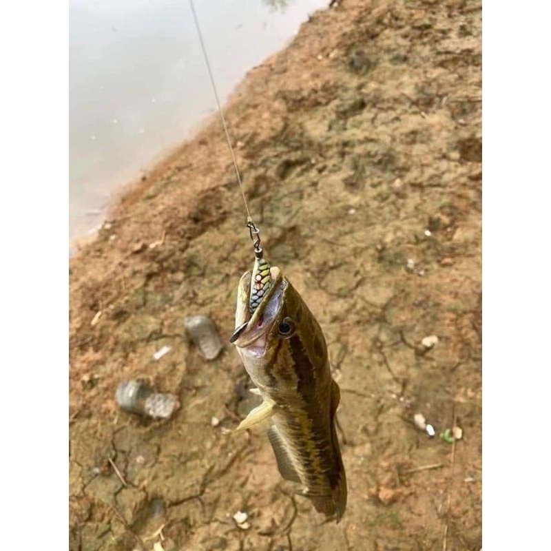 Mồi Lure Nhái Hơi TNT - F35 Siêu Nhạy Mẫu Mới Và Cũ