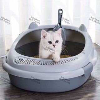Khay vệ sinh mèo hình chữ nhật cỡ lớn có lỗ lọt cát, có xẻng