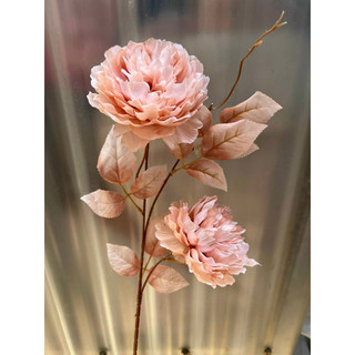 Hoa Hoa Mẫu Đơn - Mẫu Đơn Pháp cành 2 bông, 3 bong dài 70, 80 cm hàng nhập khẩu cao cấp