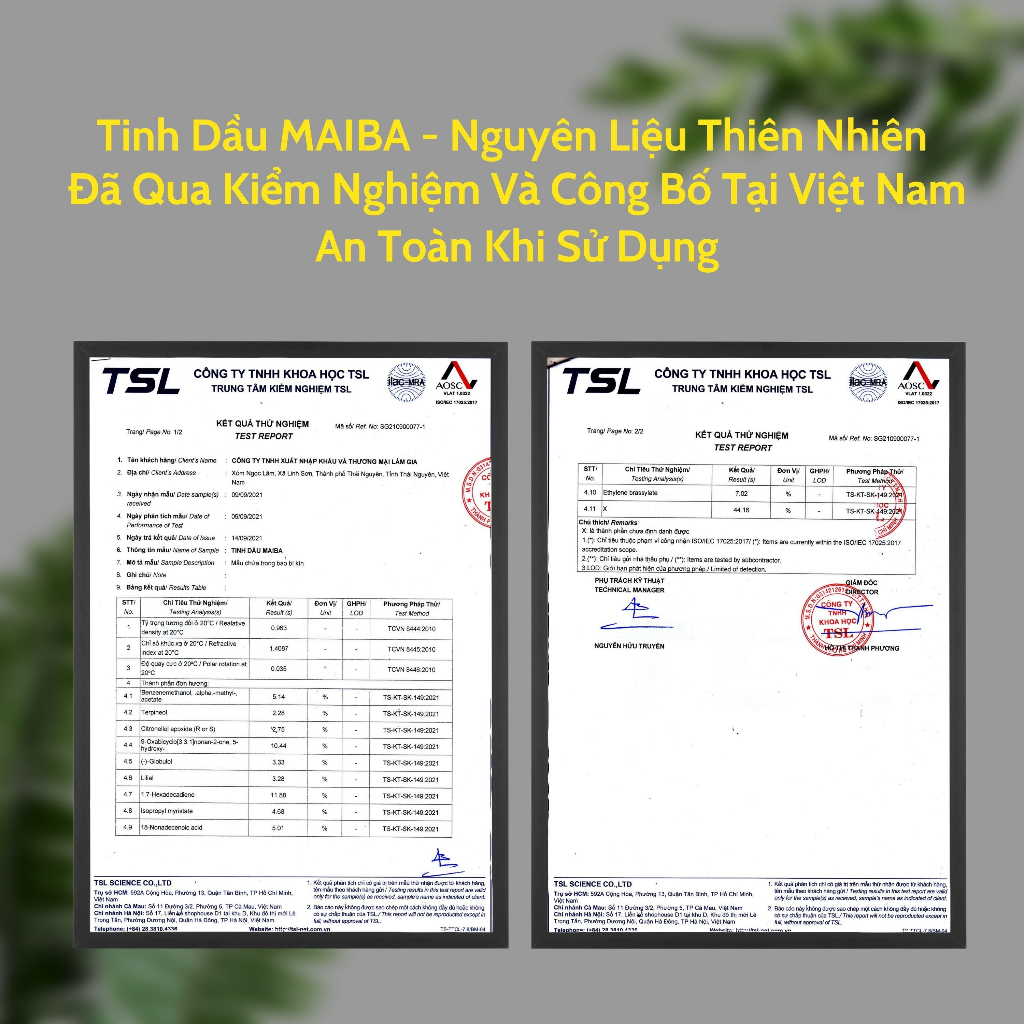 Tinh dầu nguyên chất hương Sả Chanh MAIBA giúp thơm phòng, khử mùi, đuổi muỗi