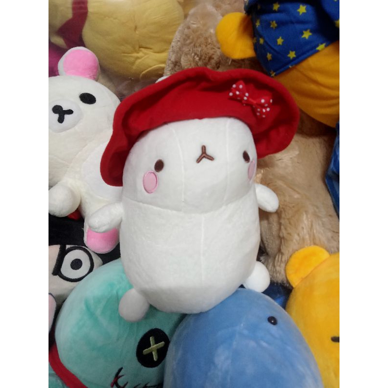 Gấu bông molang coslay