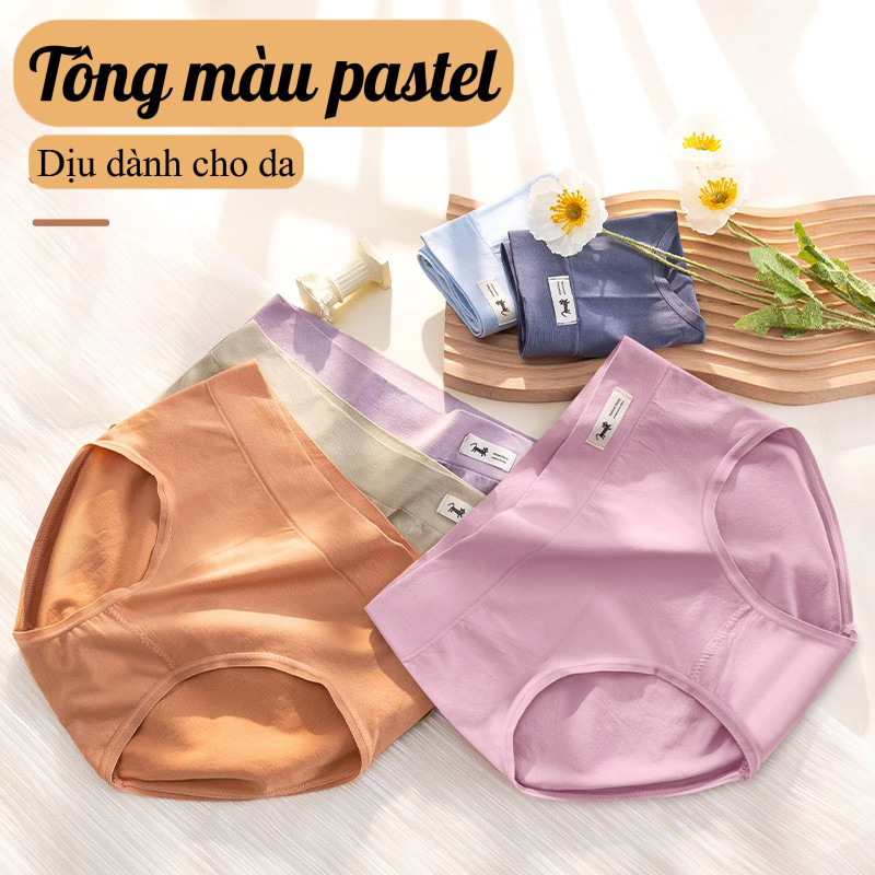 Quần lót nữ cotton thú cưng không đường may ( được chọn màu ) Softie 524