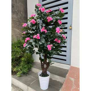 Tặng Chậu] Cây Giả Cây Hoa Hồng Trà Cao 1,6 Met Trang Trí Decor Nhà Cửa |  Shopee Việt Nam