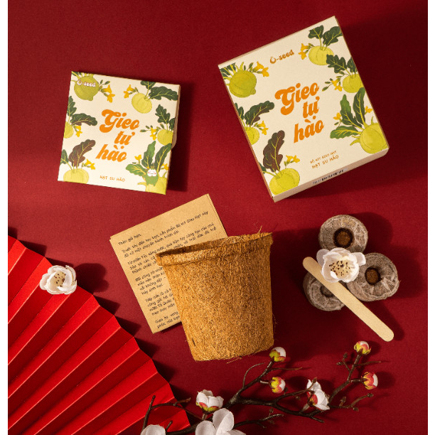 Bộ kit trồng cây gieo hạt - Hạt su hào - Gieo Tự hào