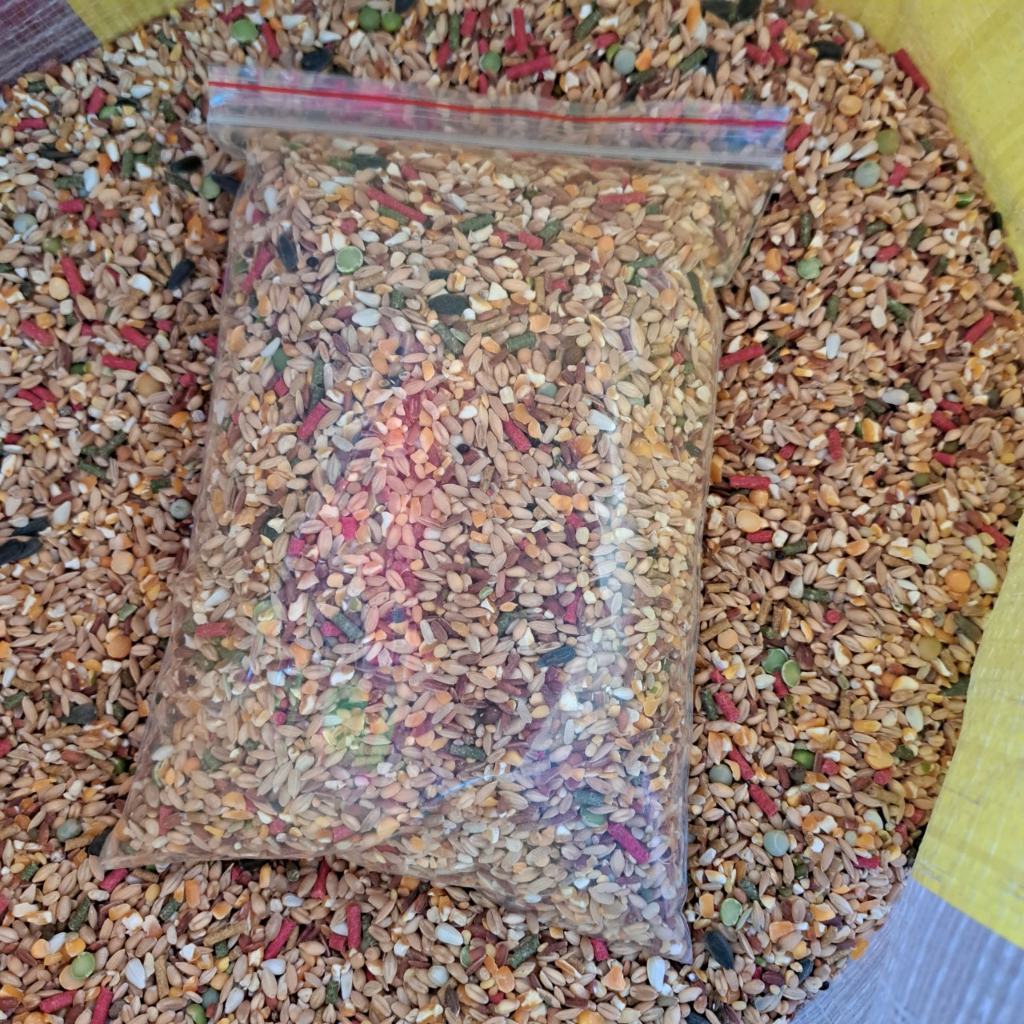 Ngũ cốc gà đá gà nòi, thức ăn gà nòi gà che túi loại 1kg giúp tăng cơ tăng bo nha cho gà