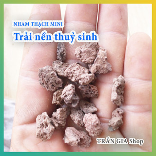 Đá núi lửa - Nham thạch nhỏ trải nền thuỷ sinh