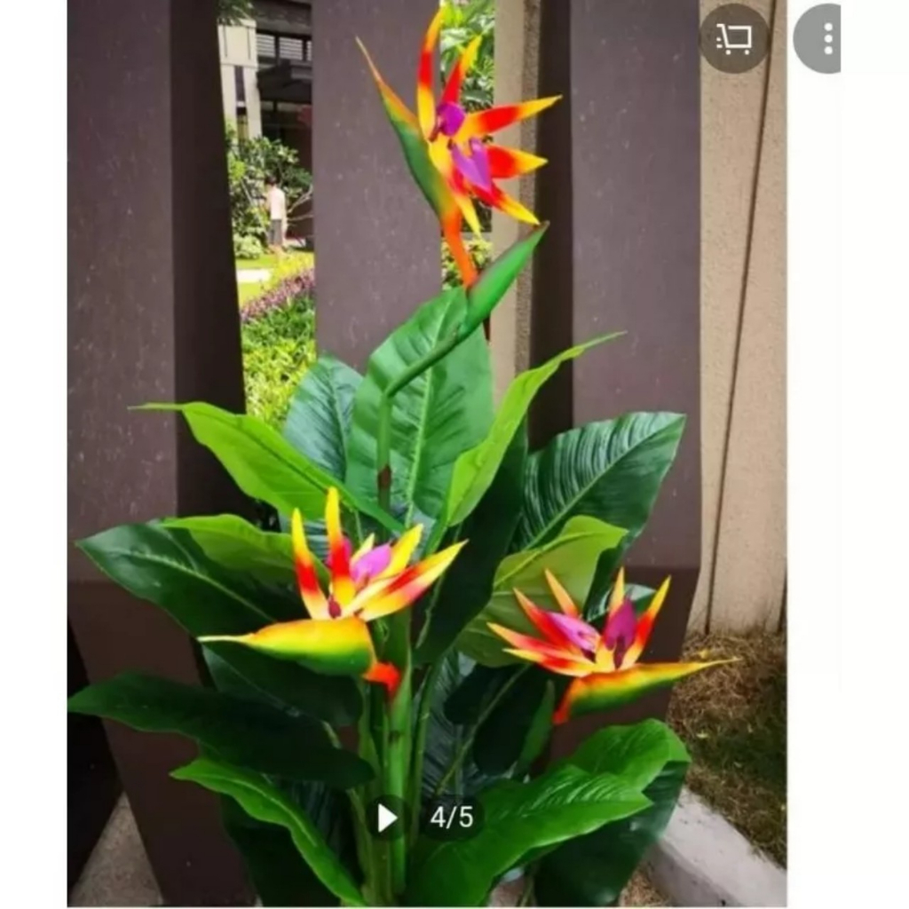 Cây giả cây thiên điểu 1met5 trang trí nhà cửa