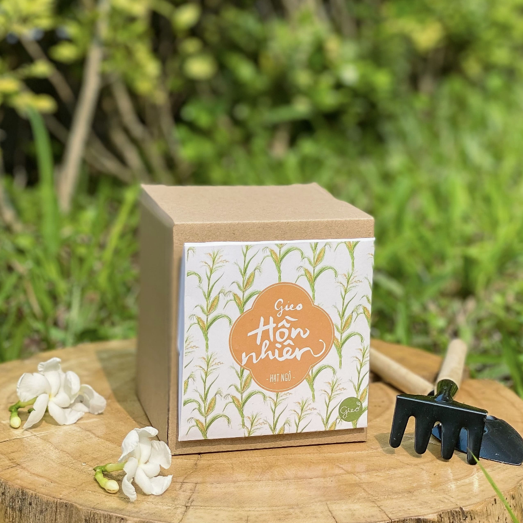 Bộ kit trồng cây gieo hạt - Hạt ngô - Gieo Hồn Nhiên