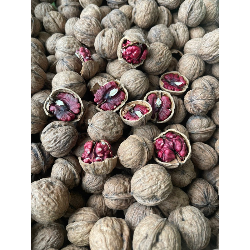 1KG QUẢ ÓC CHÓ ĐỎ