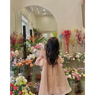 Đầm tafta bướm yếm 3D ̶52̶̶0̶̶.̶̶0̶̶0̶̶0̶